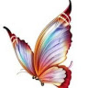 Meet your Posher, Lexis